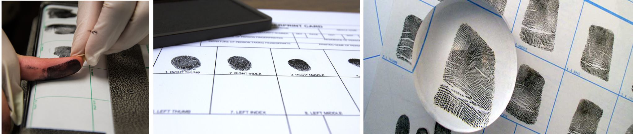 Fingerprint Print Card Holders
